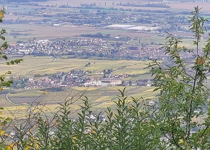 Sur La Route Du Vin
