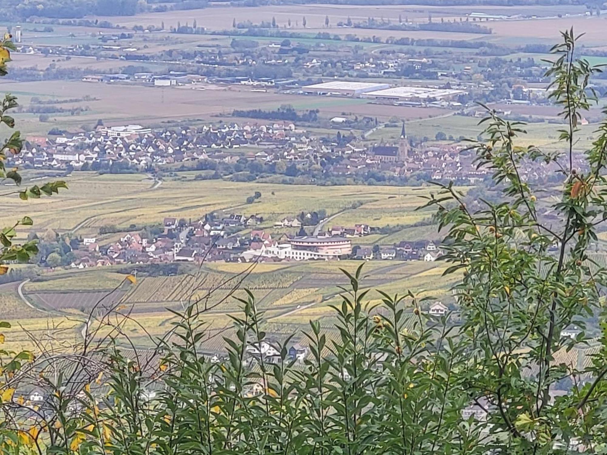 Holiday home Sur La Route Du Vin Rorschwihr